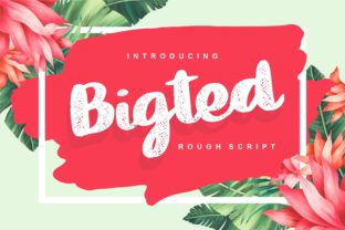 Bigted: The Perfect Script Font for Engaging Campaigns
