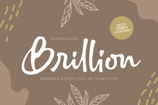 Brillion: Elevate Your Brand with a Charming Script Font