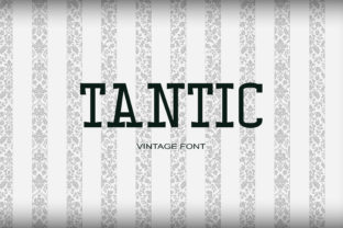 Discover Tantic: A Classic Serif Font for Timeless Web Design