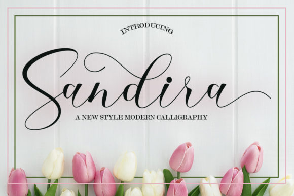 Enhance Your Brand with Sandira Script Font