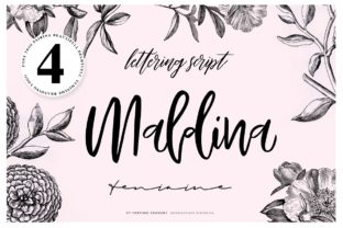 Maldina: A Modern Handwritten Font for Elegant Publishing
