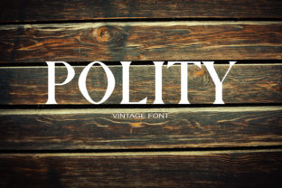 Polity: A Strong and Cool Serif Font for Standout Web Designs