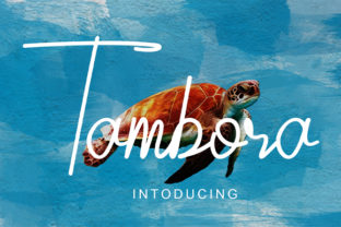 Tambora: A Standout Script Handwritten Font